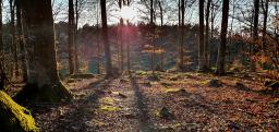 Vandring om Søndersø, Skovhuset Kunst & Natur